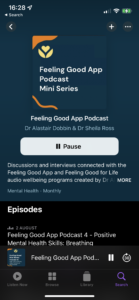 screenshot of the podcast playing on a mobile phone